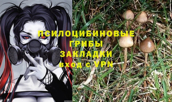 прущая мука Арсеньев