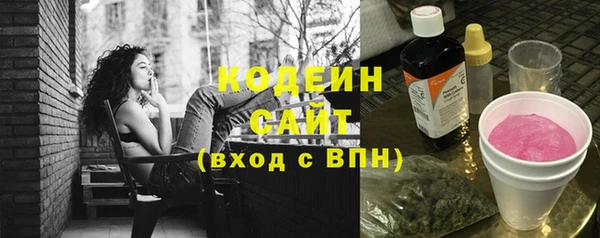 прущая мука Арсеньев