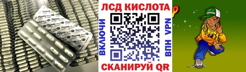 закладка Почеп Лсд 25 экстази кислота