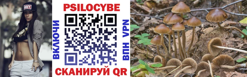 купить наркотики цена  Почеп  Галлюциногенные грибы GOLDEN TEACHER 